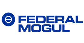 federal mogul